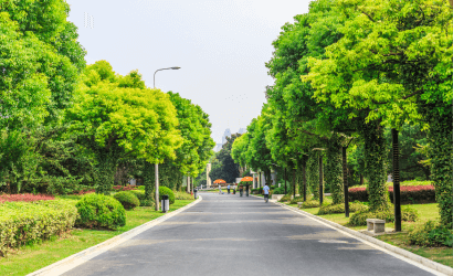 Picturesque green avenues
