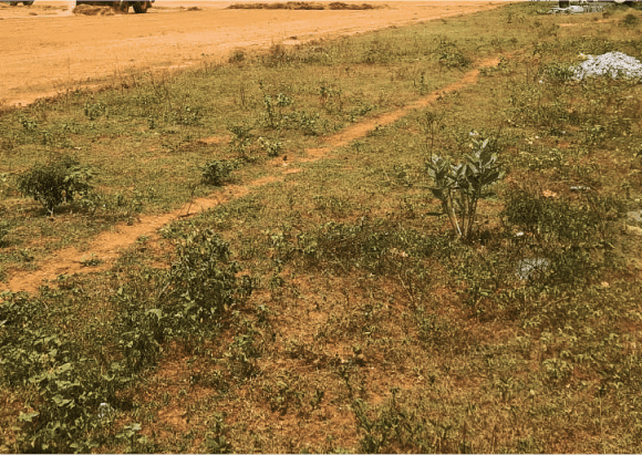 Sembulam Site Progress